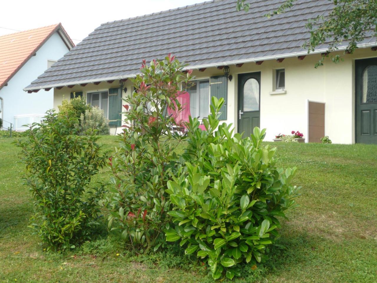 Chez Anny Et Jean Au Mittelbuehl-Reichshoffen Bed & Breakfast Bagian luar foto