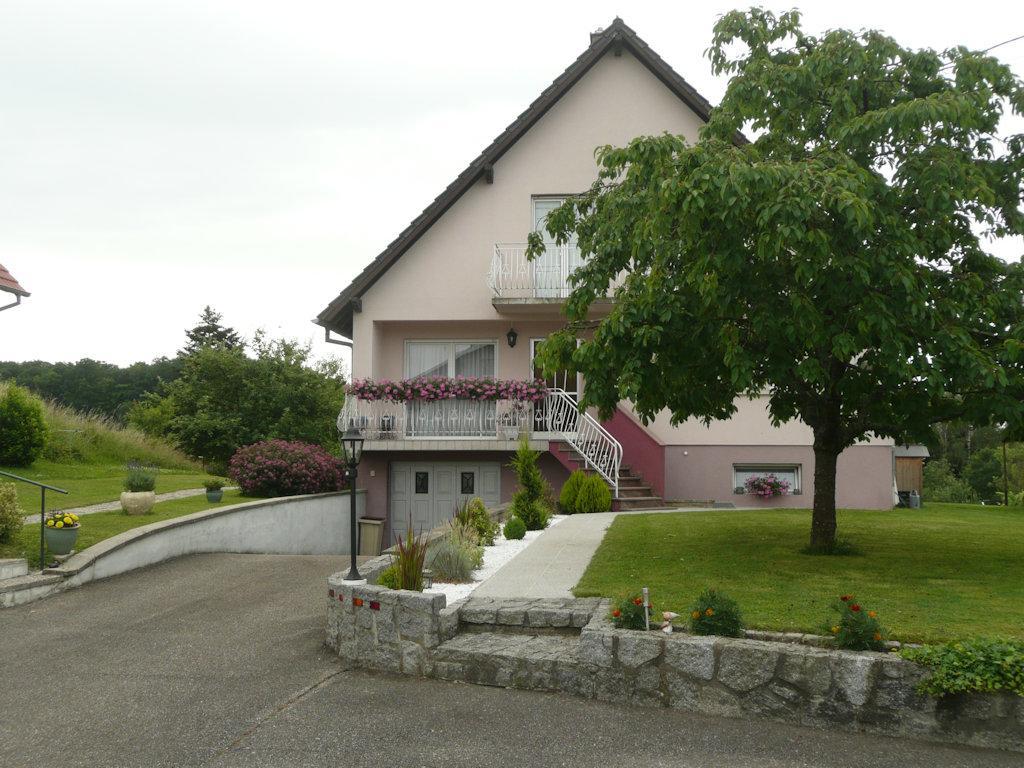 Chez Anny Et Jean Au Mittelbuehl-Reichshoffen Bed & Breakfast Bagian luar foto